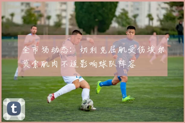 全市场动态：切利克屈肌受伤埃尔莫索肌肉不适影响球队阵容