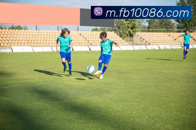 多媒体互动体验